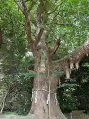 鎌数伊勢大神宮の庭園