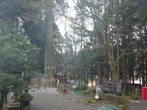 水澤寺(水澤観世音)の自然