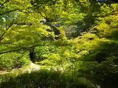 滝口寺(京都府)