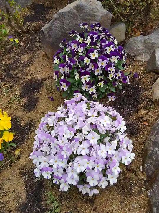 大鏑神社の自然