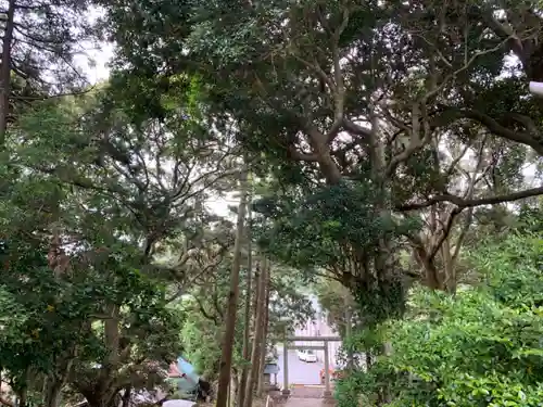 大宮神社のその他建物