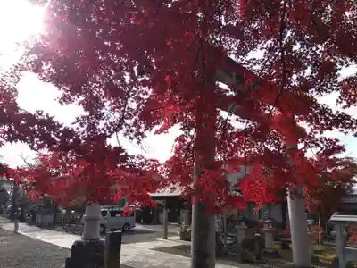 意冨布良神社(滋賀県)