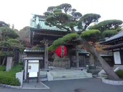 長谷寺の山門・神門