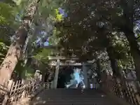 渋谷氷川神社(東京都)