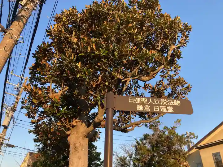 鎌倉日蓮堂(神奈川県)