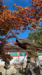 斎場所大元宮（吉田神社末社）(京都府)