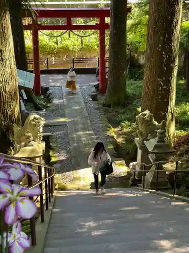 須山浅間神社(静岡県)