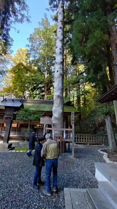 諏訪大社下社春宮(長野県)