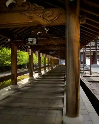 清大寺(越前大仏)(福井県)