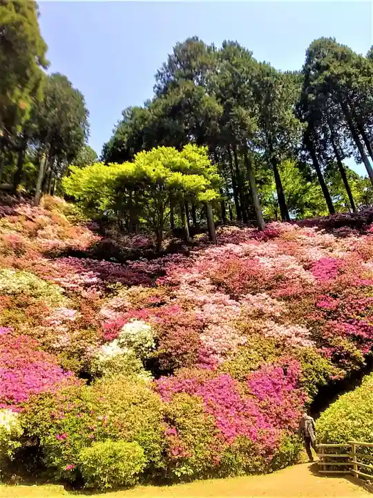 大興善寺の自然