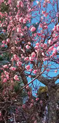 東勝寺宗吾霊堂(千葉県)