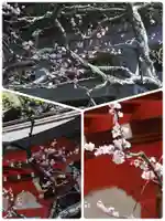 荏柄天神社(神奈川県)