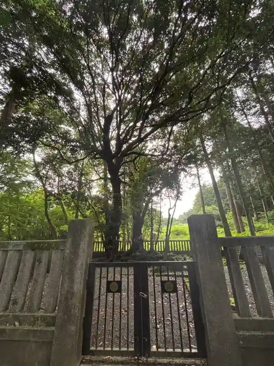 山宮浅間神社(静岡県)