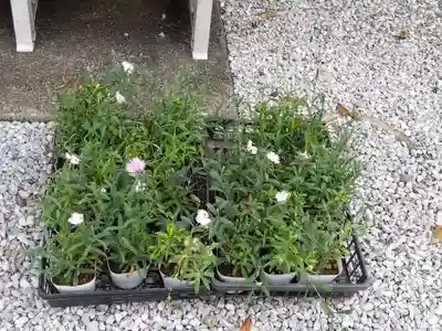 不動寺(埼玉県)