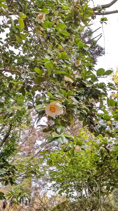 今熊野観音寺(京都府)