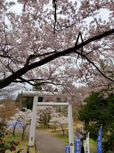 土津神社｜こどもと出世の神さまの鳥居