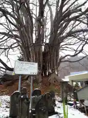 黄金龍神社（桂不動）の地蔵