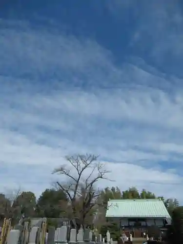 真光寺(千葉県)