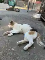 戸越八幡神社(東京都)