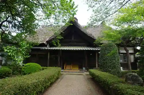 専修寺の本殿・本堂