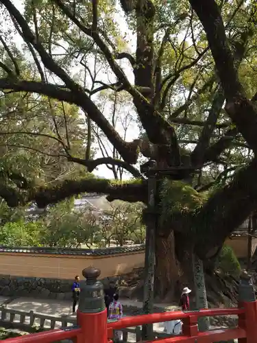 太宰府天満宮の庭園