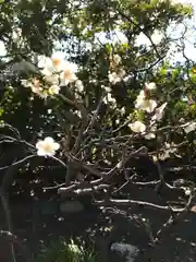 尾久八幡神社の自然