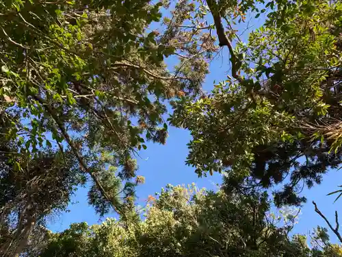 若宮八幡神社(千葉県)