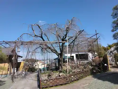 普門院(神奈川県)