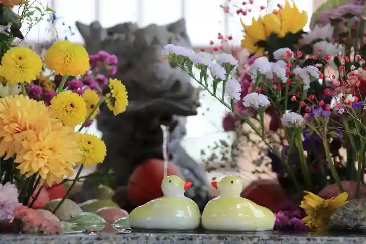 滑川神社 - 仕事と子どもの守り神の手水舎