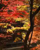 石道寺(滋賀県)