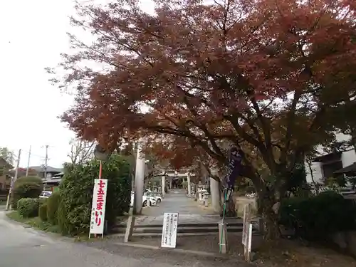 三宅八幡宮の自然