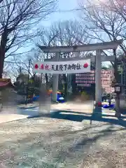 大國魂神社の鳥居