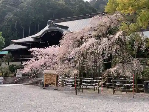 近江神宮の本殿