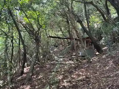 禅師峰寺奥の院(岩屋寺観音堂)(高知県)