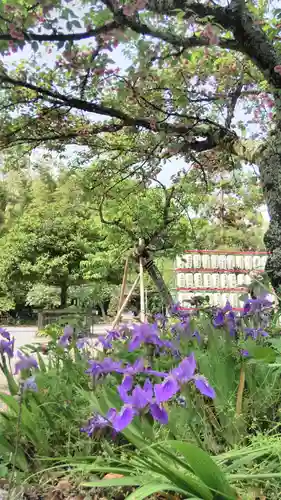 平野神社の自然