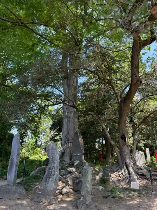 妻沼聖天山歓喜院(埼玉県)