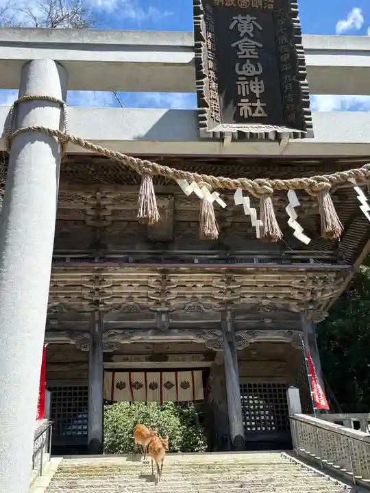 金華山黄金山神社(宮城県)