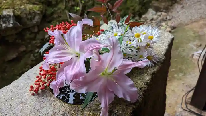 興聖寺(興聖寶林禅寺)(京都府)