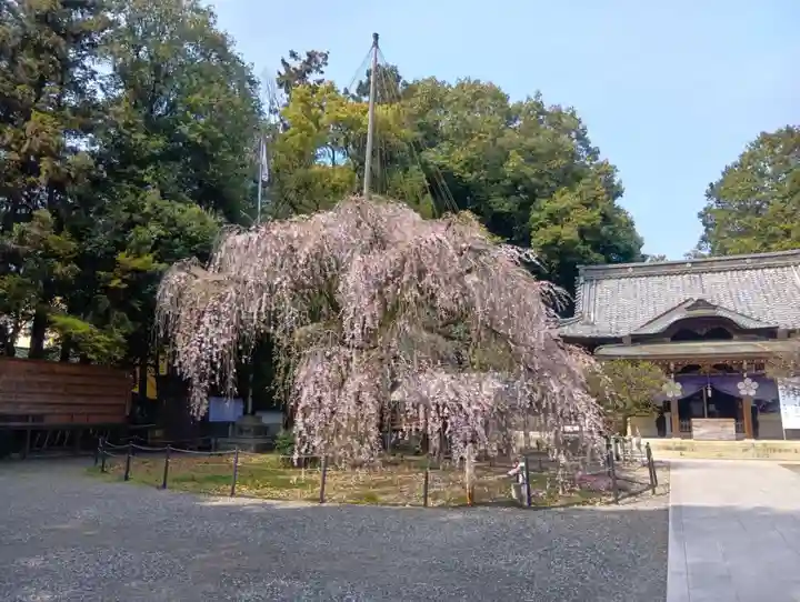 (長良)天神神社(岐阜県)