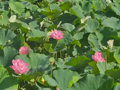 善光寺大勧進(長野県)