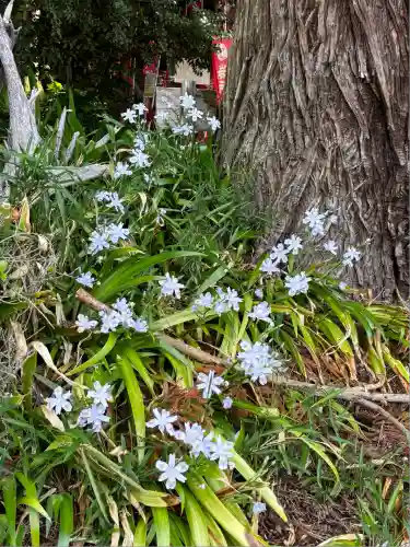 岩戸別神社(栃木県)