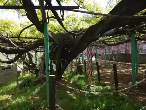 西寒多神社の庭園