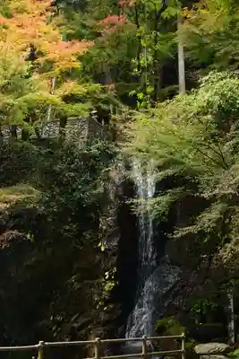 星谷寺（星の岩屋）(徳島県)