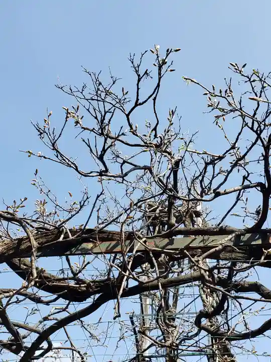 國領神社(東京都)