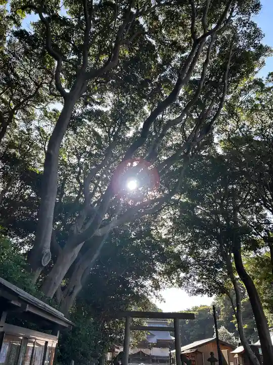 酒列磯前神社の自然