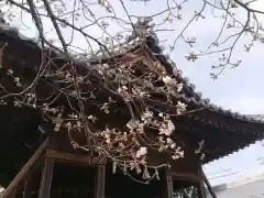 神明神社(岐阜県)