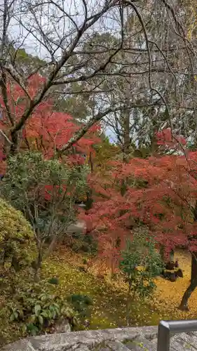 岩屋寺(京都府)