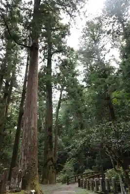 最乗寺（道了尊）(神奈川県)