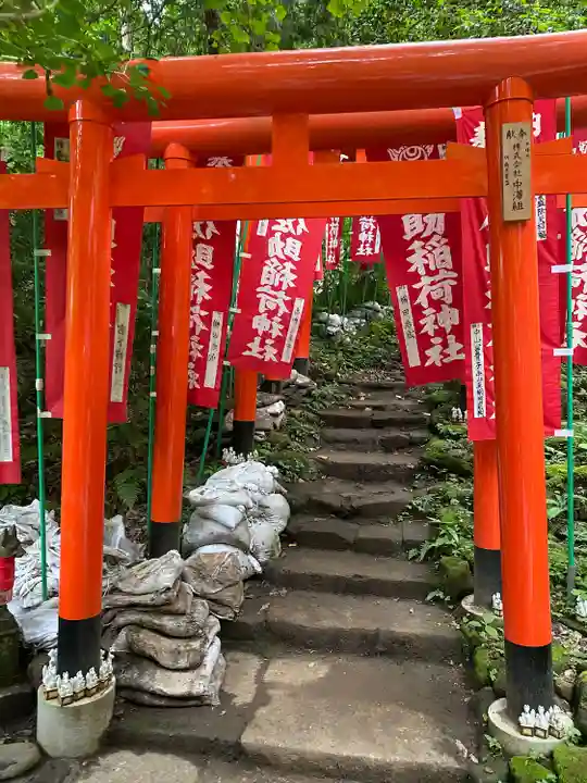 佐助稲荷神社の鳥居