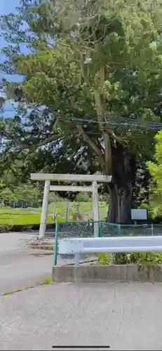 高根白山神社の鳥居